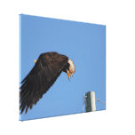 Leap of Faith Canvas Print