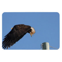 Leap of Faith Flexible Magnets