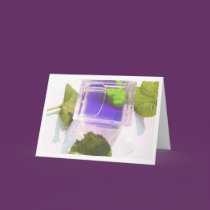 Leap Year cards