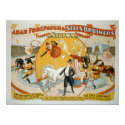 Leap Year Ladies / Clown Women Circus Poster posters