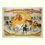 Leap Year Ladies / Clown Women Circus Poster posters