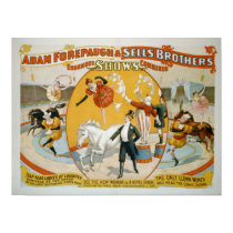 Leap Year Ladies / Clown Women Circus Poster posters
