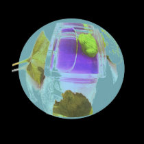 Leap Yearglobe t-shirts