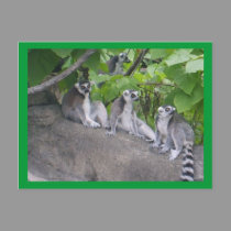 Leapin Lemurs postcards by sharpcreations Leapin Lemurs postcards