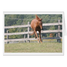 Leapin' Mimi Card