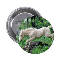 Leaping Colt