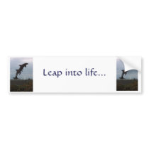 Leaping Dolphins Fountain bumper stickers