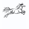 Leaping Horse shirt