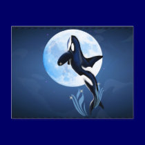 Leaping Orca Postcard postcards