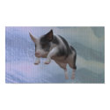 leaping pig poster
