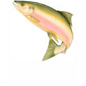 Leaping Salmon t-shirts