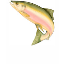 Leaping Salmon t-shirts by Spice Leaping Salmon t-shirts
