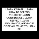 LEARN KARATE! posters
