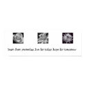Learn, Live, Hope posters