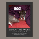 Learn the rules poster posters