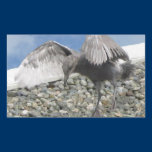 Learn to Fly Gull Sticker