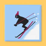 Learn to ski magnets