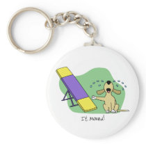 Learning the Teeter Agility Keychain