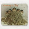 Learning to Fly mousepads