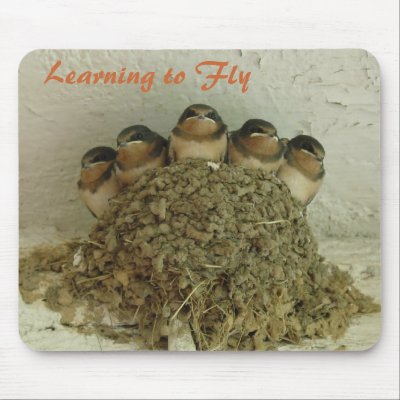 Learning to Fly Mouse Pad by GraemePark