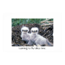 Learning to Fly takes time. posters by marymerrymary Learning to Fly takes time. posters