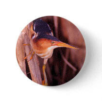 Least Bittern Pins