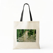 Least Bittern (female) with young Canvas Bags