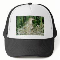 Least Bittern (female) with young Trucker Hat