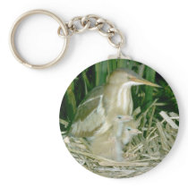 Least Bittern (female) with young Keychains