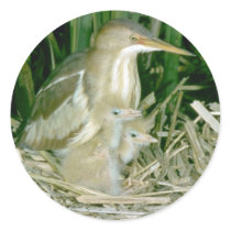 Least Bittern (female) with young Round Sticker