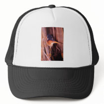 Least Bittern Trucker Hat