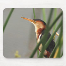 Least Bittern mousepads by wildlifezoo Least Bittern mousepads