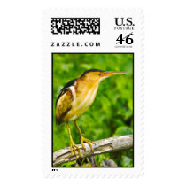 Least Bittern Stamps