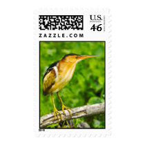 Least Bittern Postage Stamp