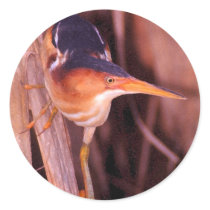 Least Bittern Round Stickers
