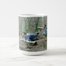 Least Terns Coffee Mugs