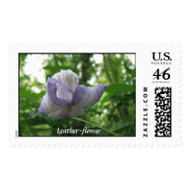 Leather-flower Postage postage