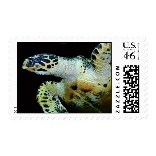 Leatherback Sea Turtle Stamp