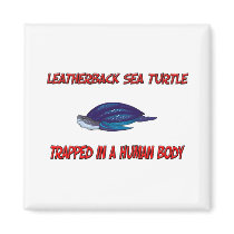 Leatherback Sea Turtle trapped in a human body magnets