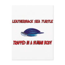 Leatherback Sea Turtle trapped in a human body postcards