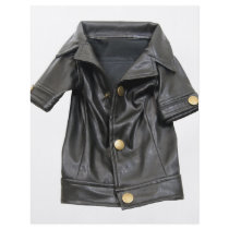 LeatherCoat072509 flyers by ShroudedLake LeatherCoat072509 flyers