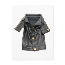 LeatherCoat072509 postcards