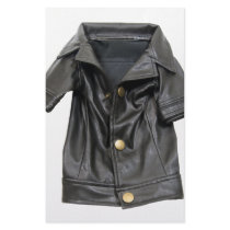 LeatherCoat072509 Customized Stationery