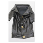 LeatherCoat072509 Customized Stationery