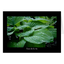 l'eau de la vie cards by bhbphotos l'eau de la vie cards