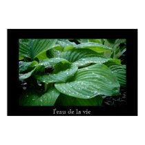 l'eau de la vie posters by bhbphotos l'eau de la vie posters