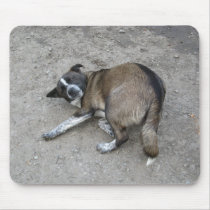 "Leave me alone" mousepad