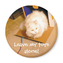 Leave My Toys Alone! magnets by codfishlady Leave My Toys Alone! magnets