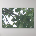 Leave Poster