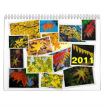 leaves, 2011 calendars